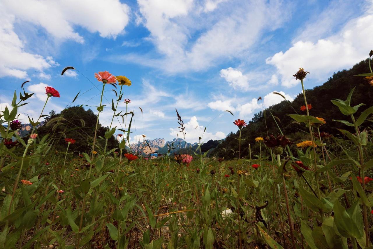 Whispering Mountains Boutique Hotel Zhangjiajie Esterno foto